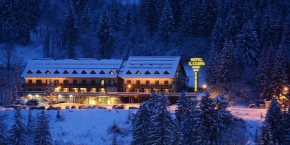 Гостиница Hotel Il Cervo SPA & Wellness, Тарвизио